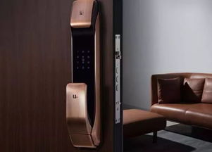 智能門鎖簡介 智能門鎖的技術(shù)分哪幾種,你清楚嗎